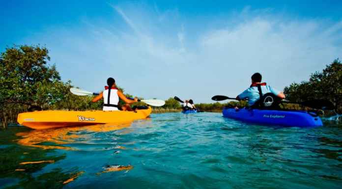 Top Places and Things to do in Abu Dhabi Mangrove Kayaking Tours