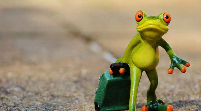 Health Benefits of Traveling feature