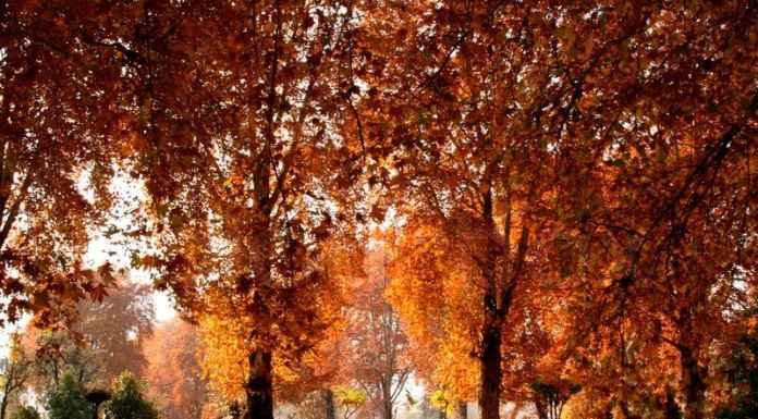 Places to Visit in India During Autumn Kashmir India