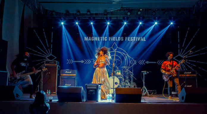 Music Festivals in Rajasthan You Must Visit Magnetic Fields at Alsisar Mahal, Shekhawati source- wordpress