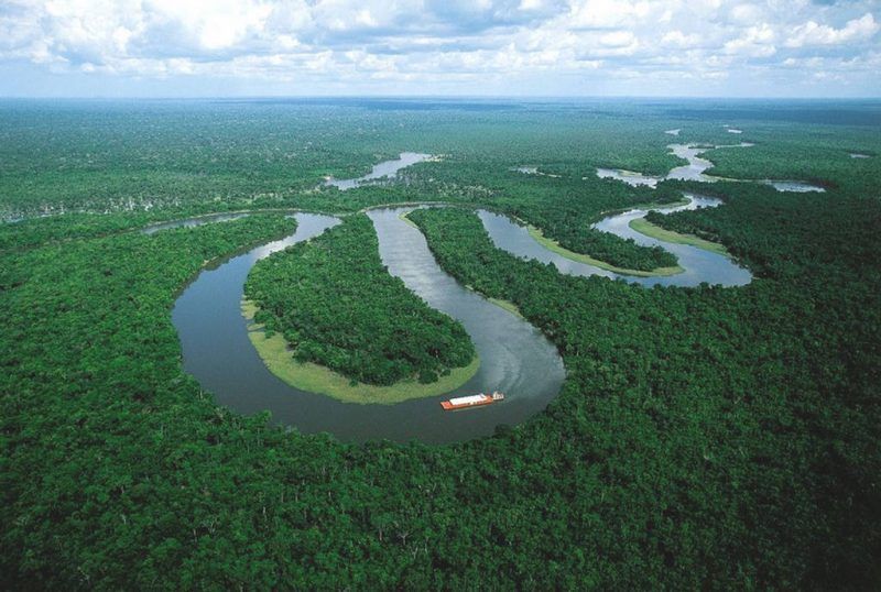 Amazon Rainforest, South America