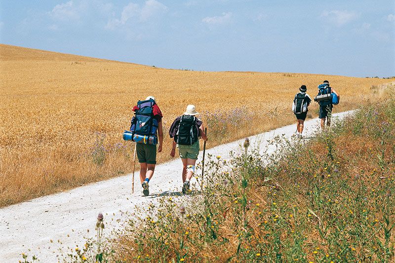 Camino de Santiago