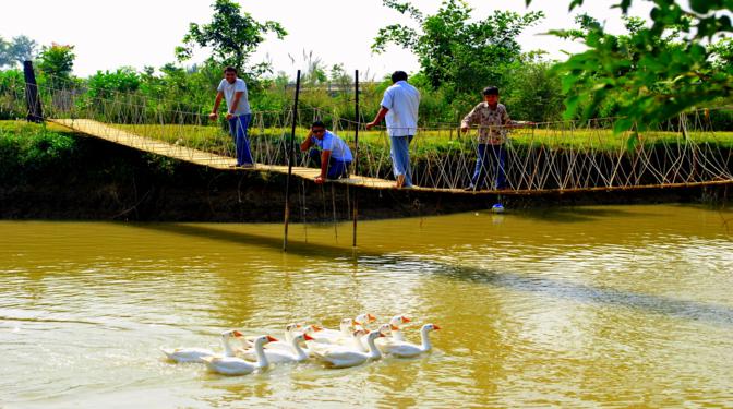 Pratapgarh farms 