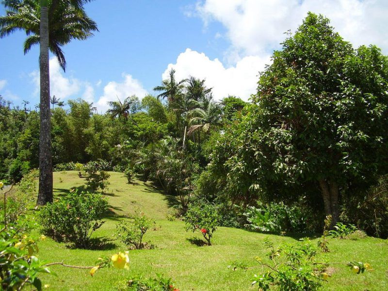 Grand Etang National Park & Forest Reserve