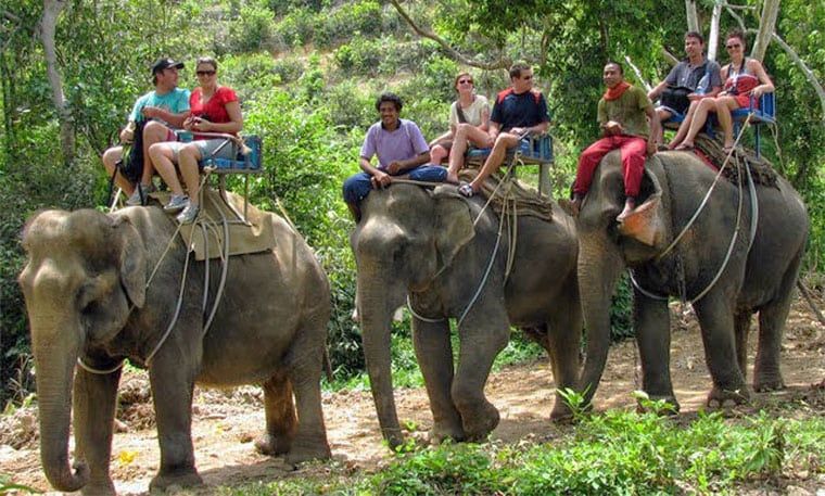 Elephant-Trekking