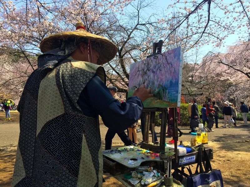  Here is everything you need to know about Cherry Blossom in Japan