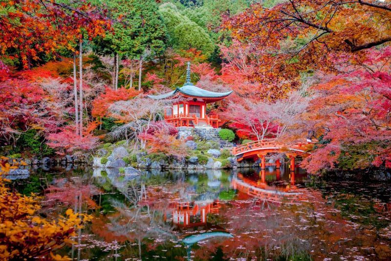Here is everything you need to know about Cherry Blossom in Japan