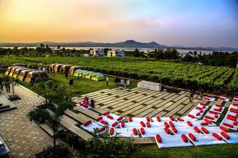 Have a Nashik Wine Trip, 