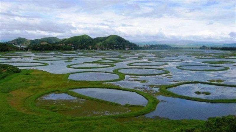 Keibul Lamjao, Manipur, 