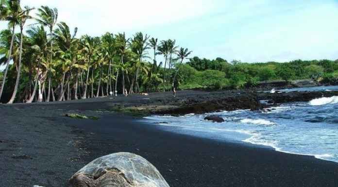 Amazing Black Sand Beaches to visit Best Black Sand Beaches you will want to visit