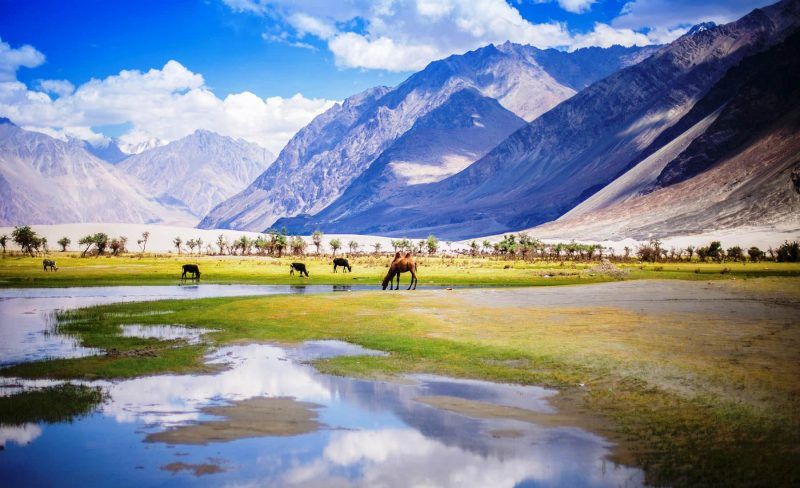 Nubra Valley,