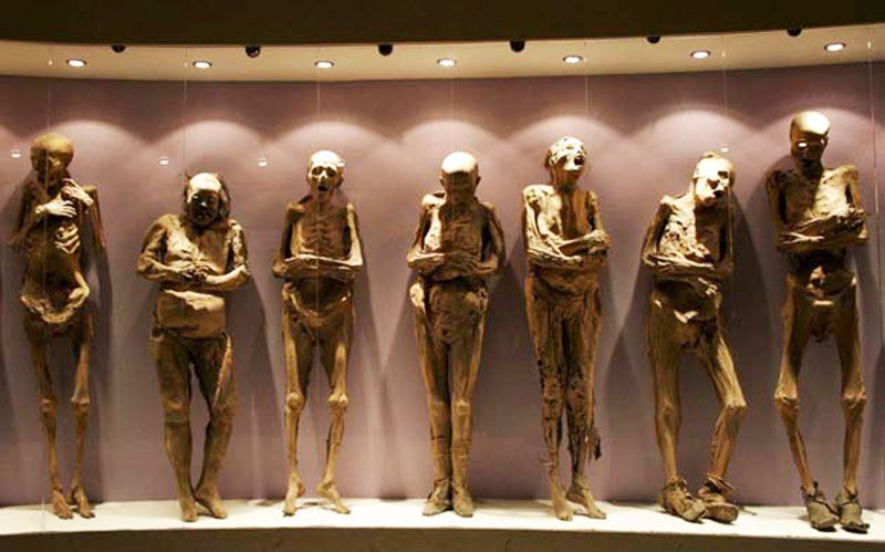 The Mummy museum, 