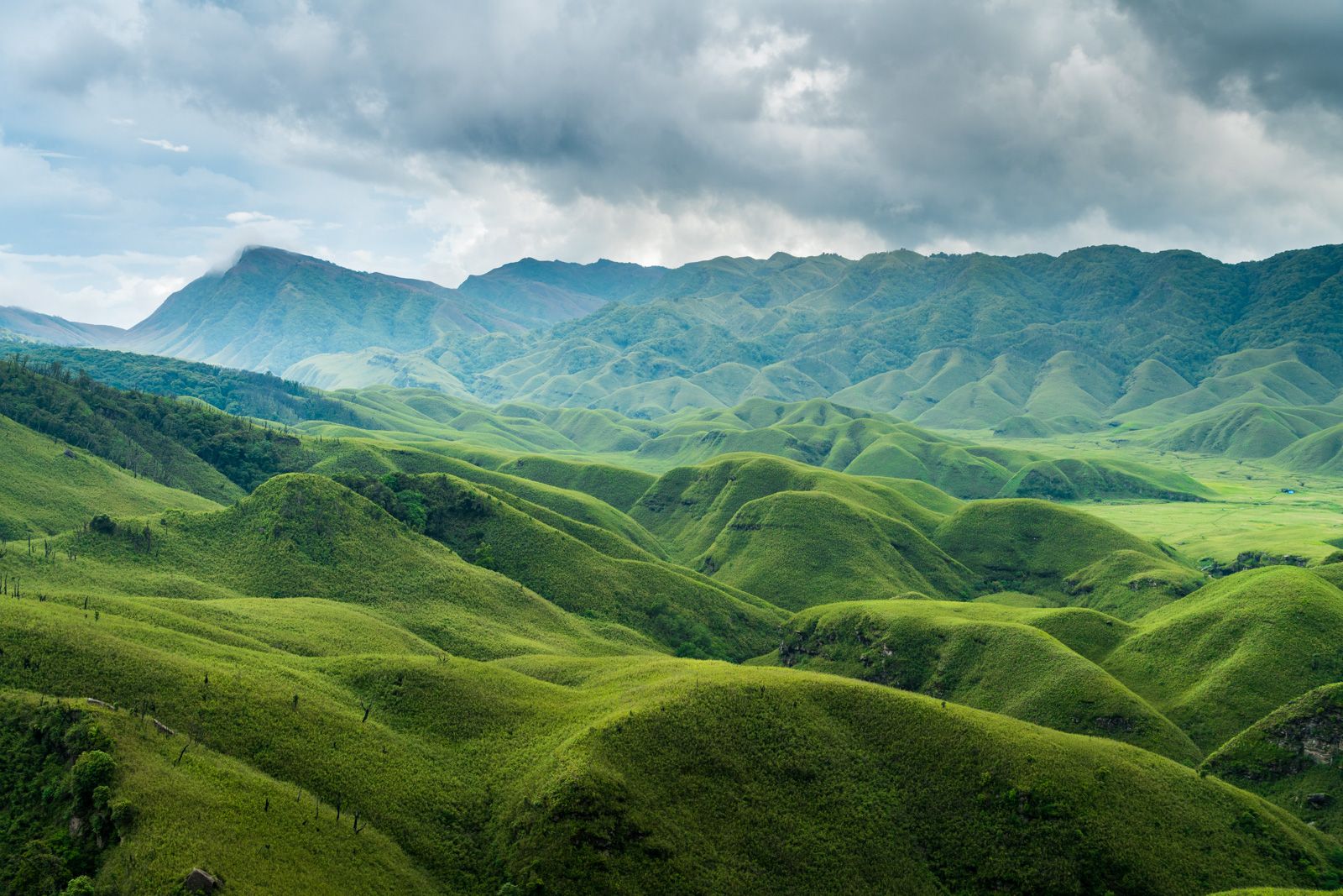 Dzoukou Valley and Japfu Peak, 