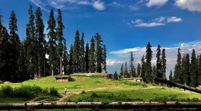 5 Best things to do in Gulmarg 5 Best things to do in Gulmarg