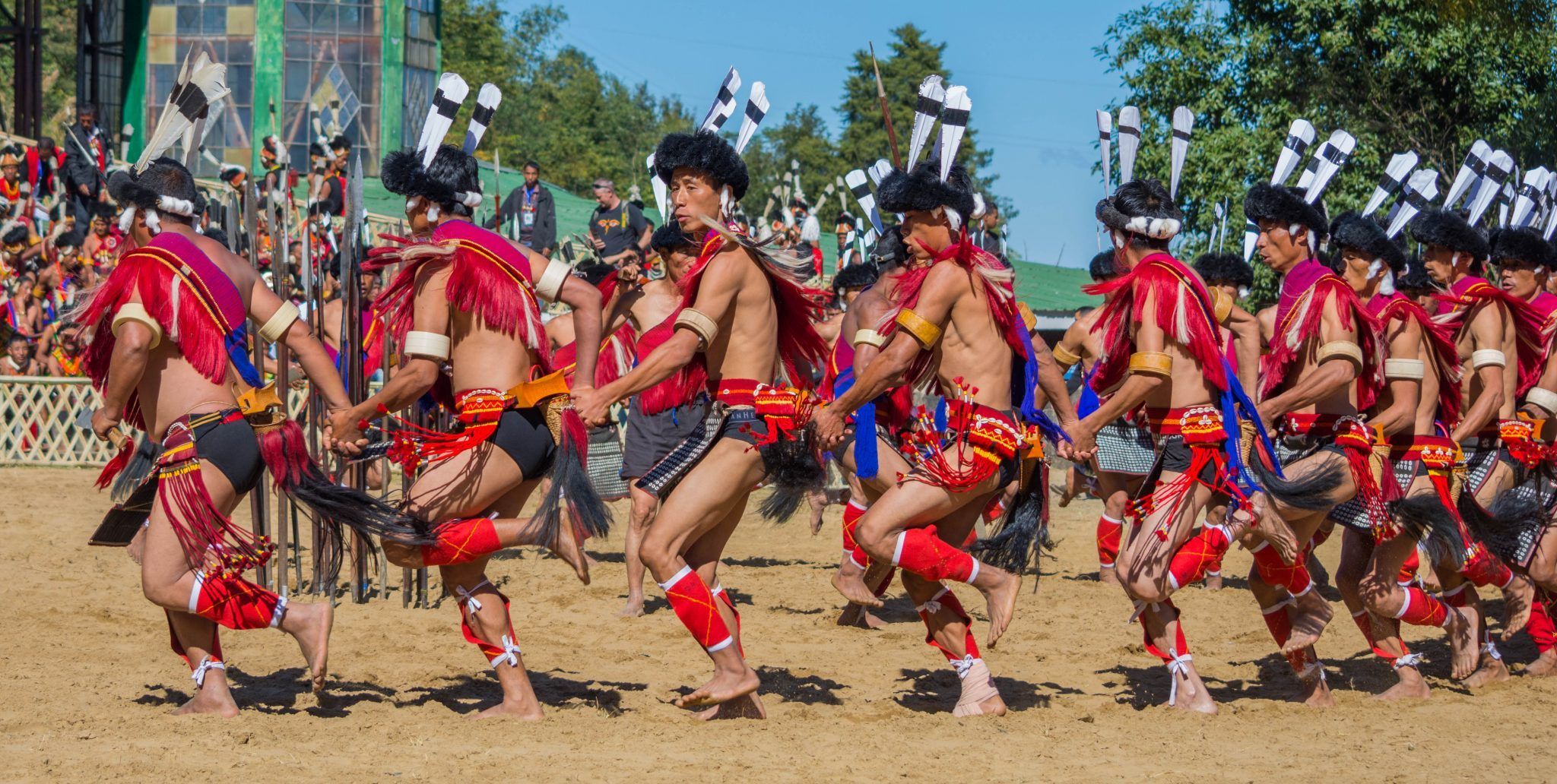 Hornbill festival, 