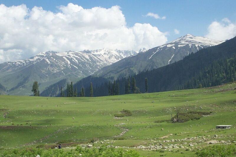  5 Best things to do in Gulmarg