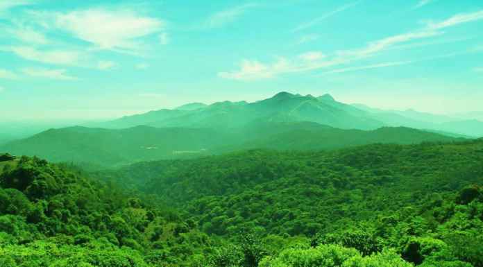 Best things to do in Coorg Source Oneday Tours