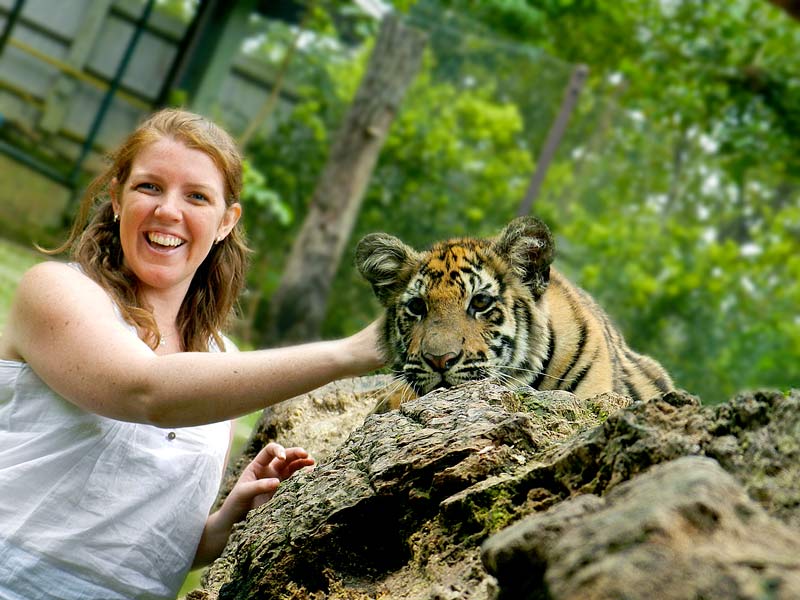 5 Wildlife experience you should not go for