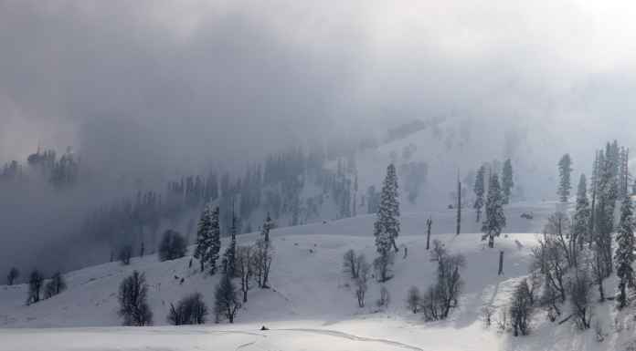 Snowfall in Kashmir proves why it’s ‘heaven on earth’