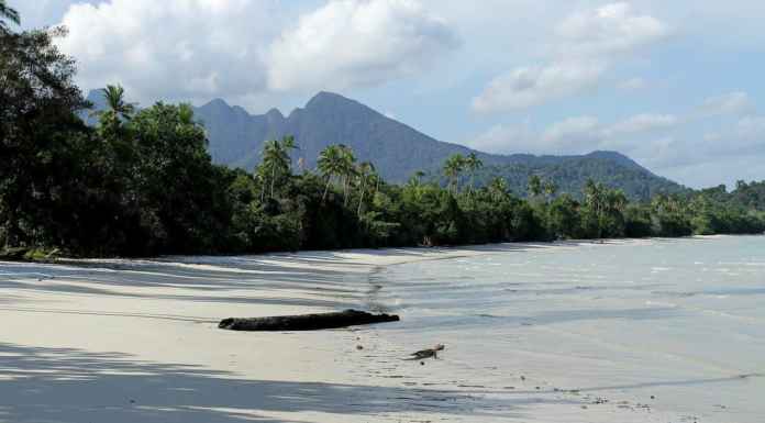 5 Best Islands to visit near Singapore 5 Best Islands to visit near Singapore