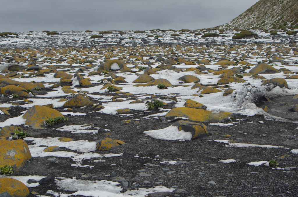 Source Australian Antarctic Divisione