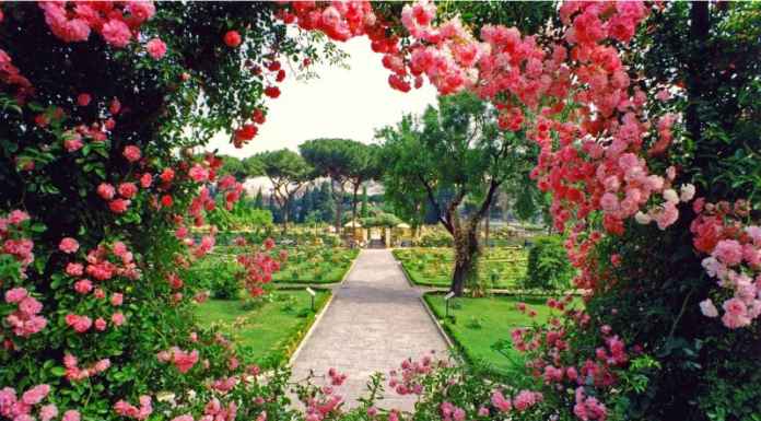 Best Rose Gardens across the World