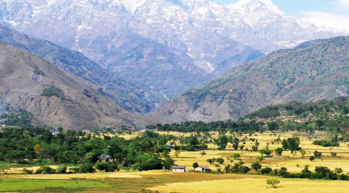 Best things to do in Palampur Best things to do in Palampur