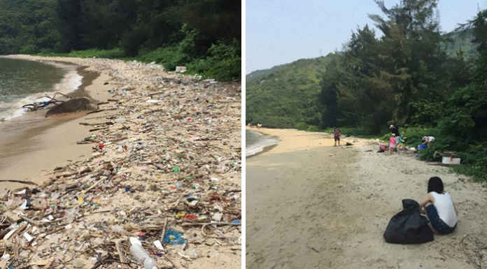 #TrashTag challenge goes viral #Trash Tag challenge goes viral