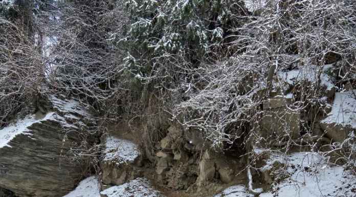 Places to experience fresh snowfall in India