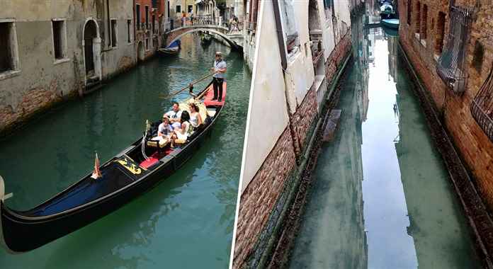 Lockdown positives: How the Venice canals are clean again!