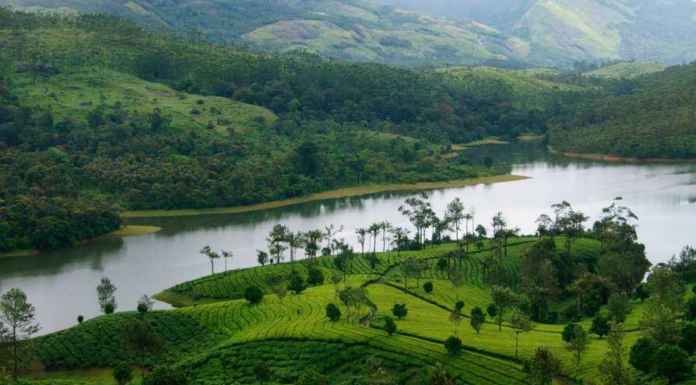 Kerala reopens for tourism: Rules to follow