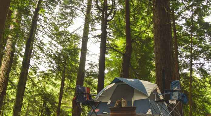 How to be sustainable during camping trips sustainable camping tips