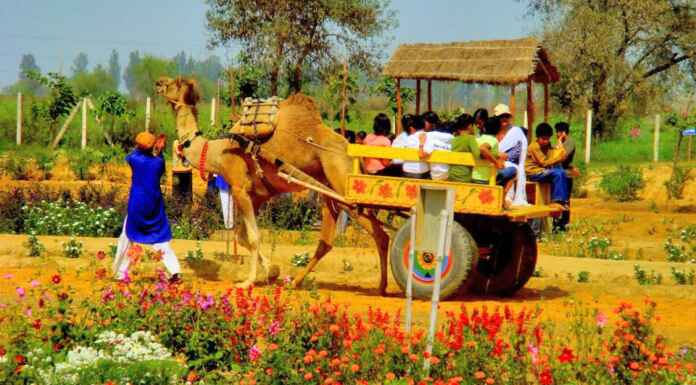 Pratapgarh Farms: A Perfect Holi Weekend Destination to Make Memories